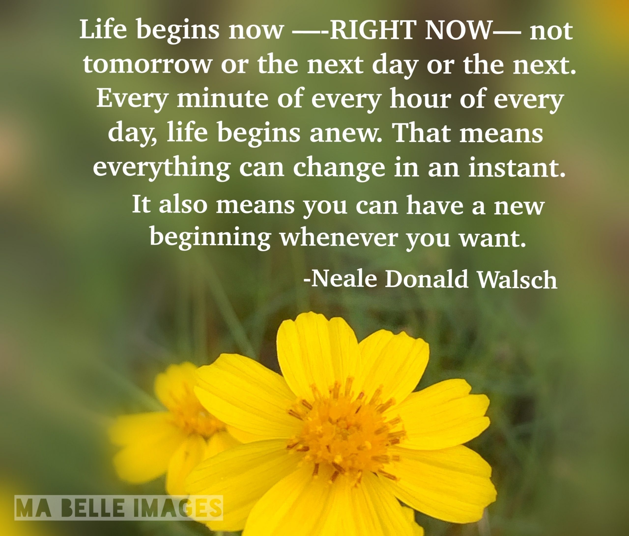 Life begins NOW — RIGHT NOW – VTJ365